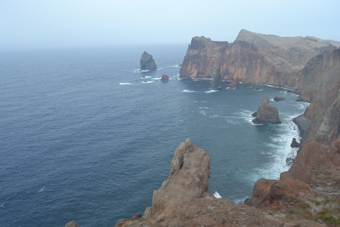 madeira4
